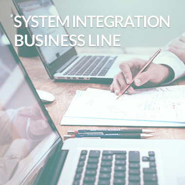 System Integration Business Line